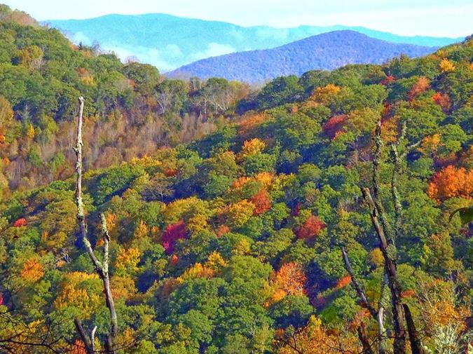 Beautiful Fall colors have arrived!