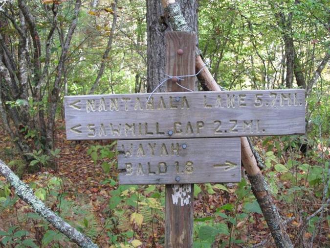 This is where the Bartram merges with the Appalachian Trail.