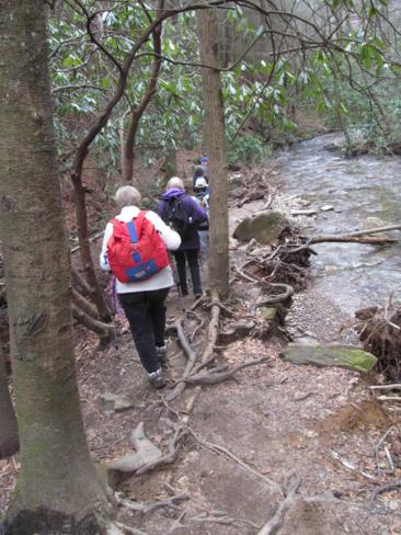 This is a very heavily used trail with lots of exposed roots.
