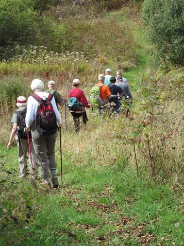 Headed back to Sawmill Gap, we pass through one of the grassy openings.