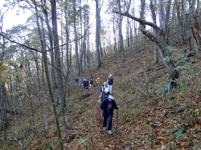 Another great day for a hike on the Appalachian Trail!