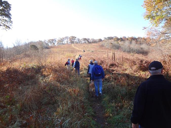 Climbing the grassy slope to the summit of Siler Bald!