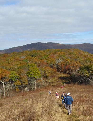 Headed back down the grassy slope.