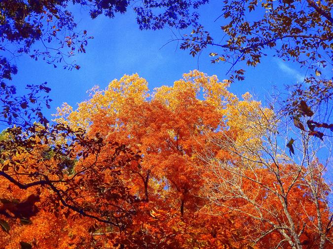 The fall colors were at their peak!