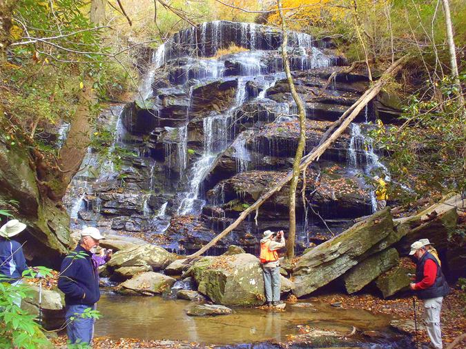 Beautiful Yellow Branch Falls!