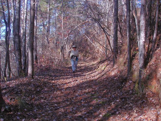 Most of this trail follows an old roadbed.