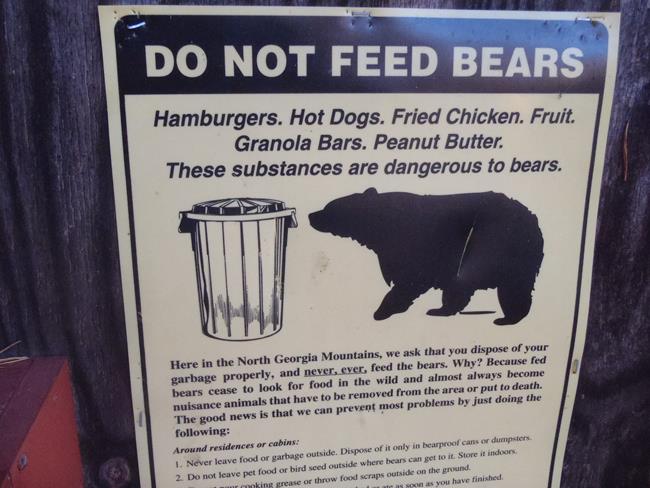 Important Bear information.