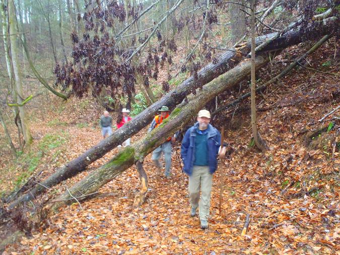The trail had a few blow-downs but nothing difficult to pass through..
