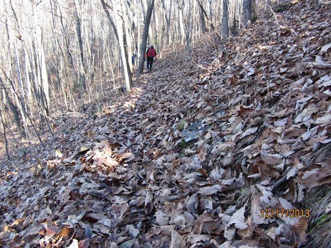 The trail was heavily covered with fallen leaves.