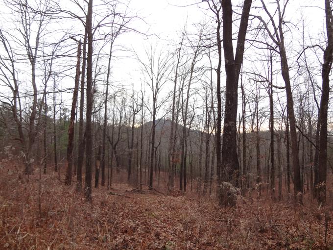 Early into the hike, we see Currahee in the distance.