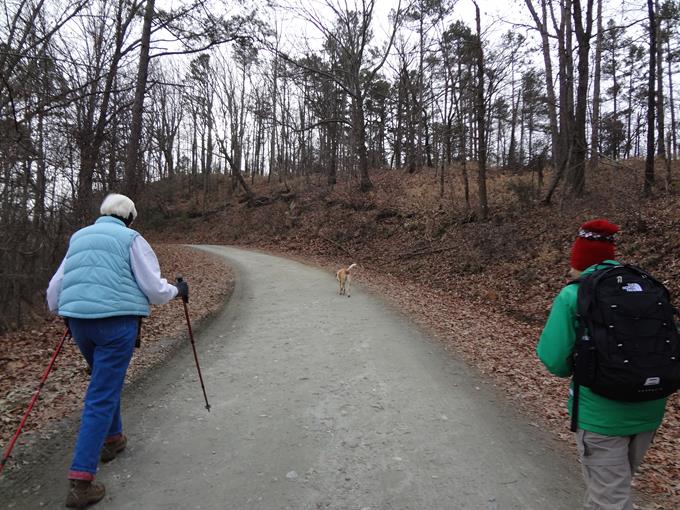 Another great day for a hike!