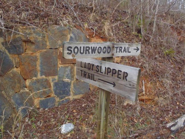 Next, we walked over to the Sourwood Trail for another nice loop hike.