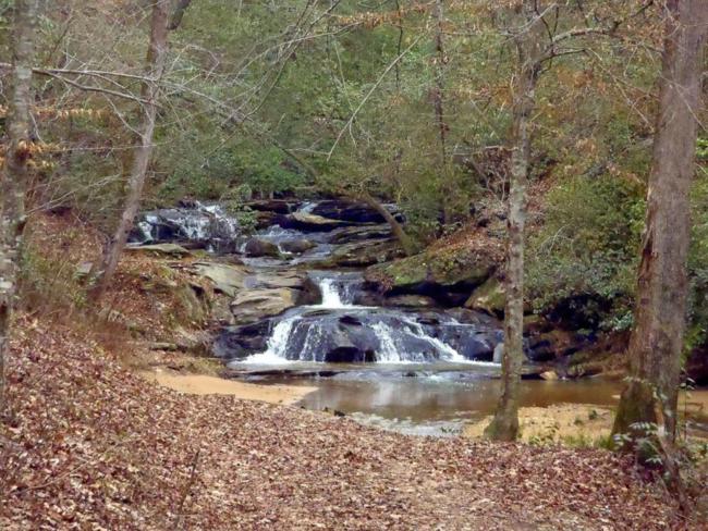 Beautiful Nancytown Creek.