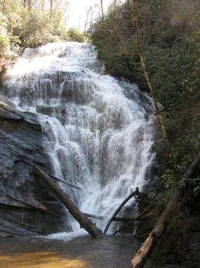 The falls was magnificent today!.