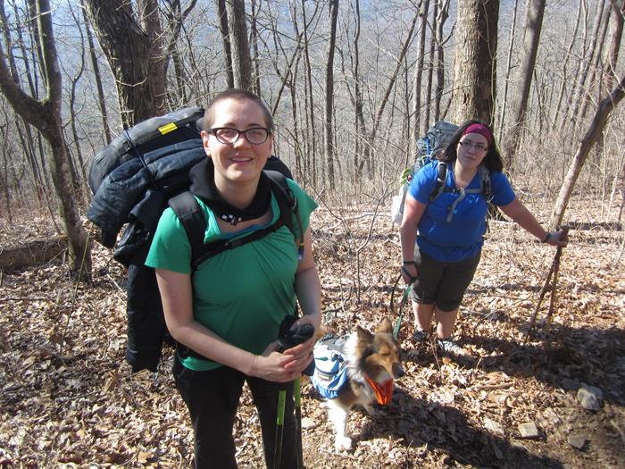 Sheltie Thru-Hiker.