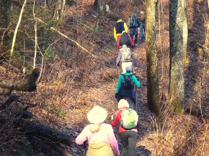 Headed up the steep Jack's Knob Trail.