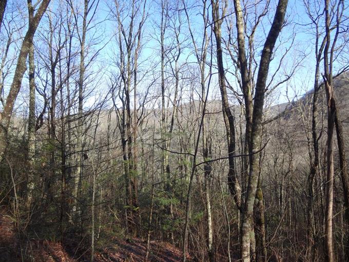 The sky is blue and giving great mountain views!