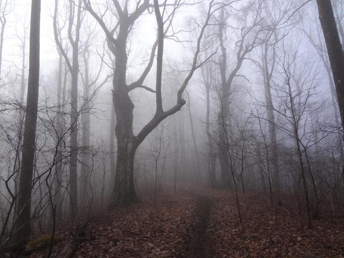 Then the fog rolled in!