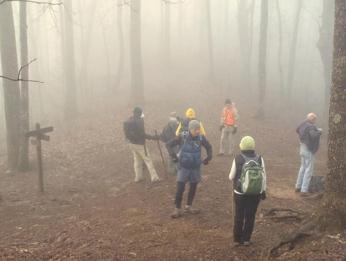 We join the Appalachian Trail at Chattahoochee Gap.