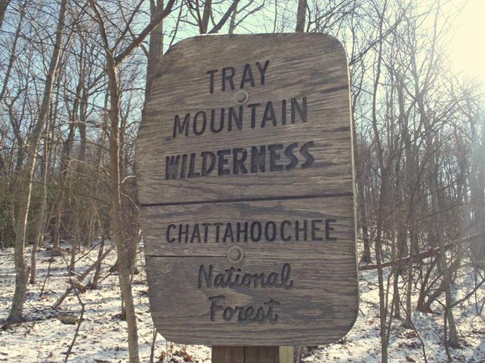 Just beyond Tray Gap, we enter the Tray Mountain Wilderness Area.