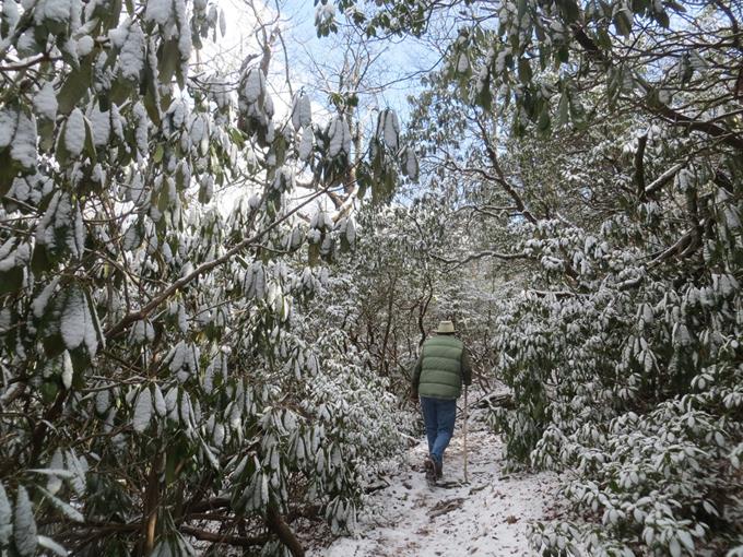 As we climb Tray, we are in a winter wonderland!