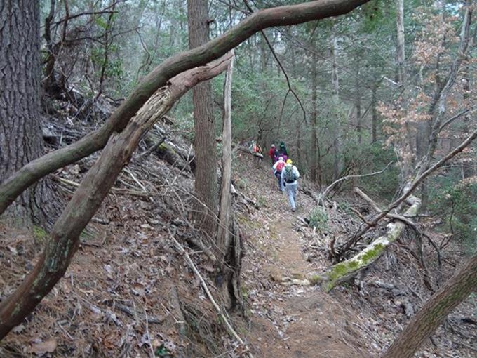 Another great day for a hike!