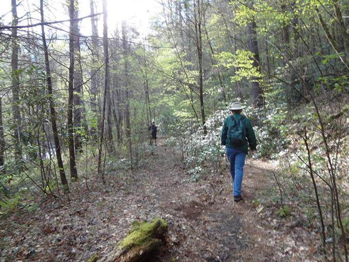 An absolutely beautiful day for a hike along the Chattooga River!