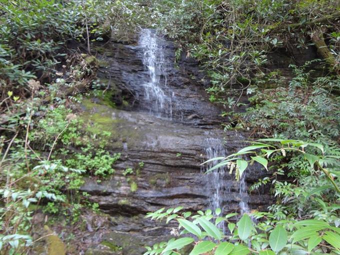 Early into the hike, we pass by this nice little waterfall.