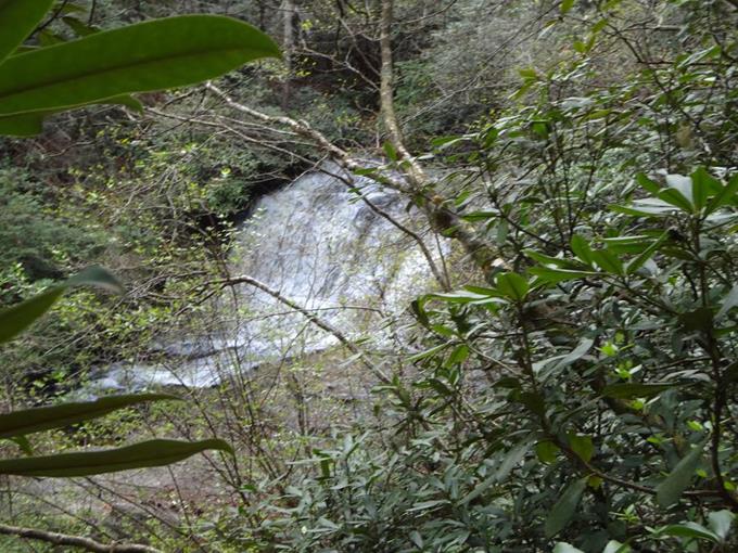 Licklog Falls