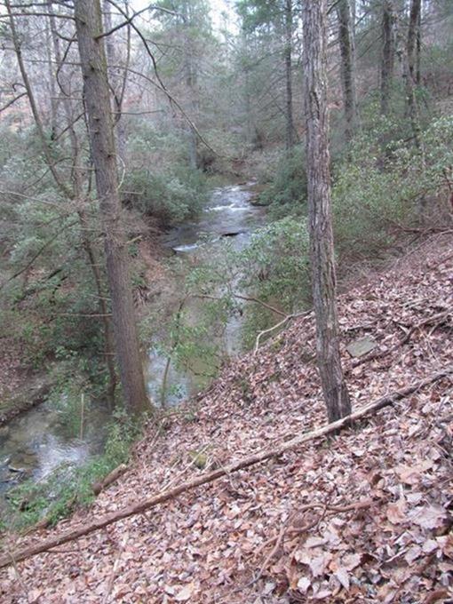 There are many great views of Dicks Creek!