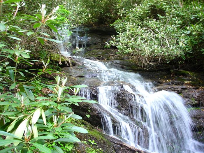 Early into to the hike, we come to Becky Branch Falls.