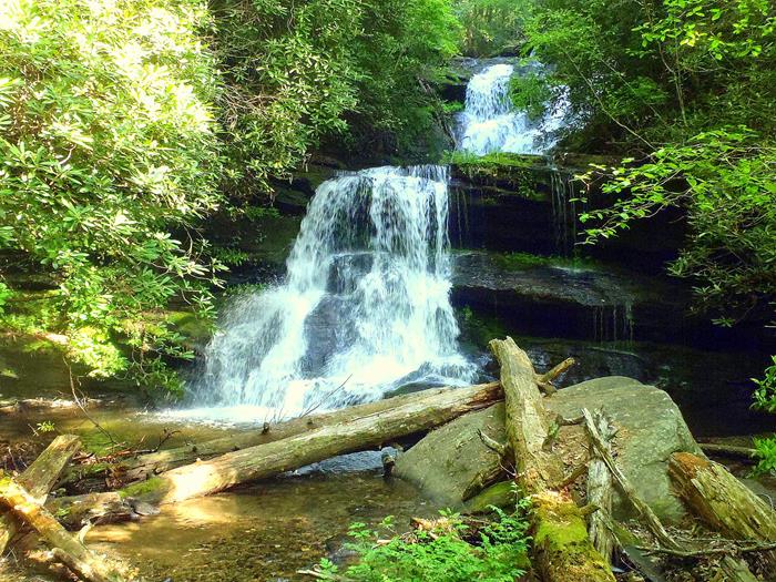 Beautiful Martin Creek Falls!