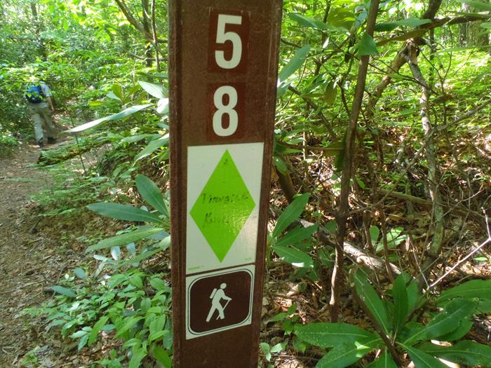 This is the marker for the side trail up to Pinnacle Knob.