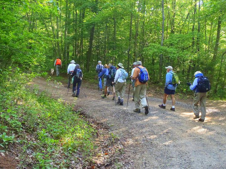 To start the hike we head up the old gated road.