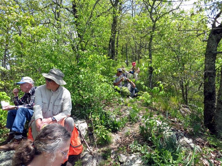 Lunchtime at Wolf Rock!