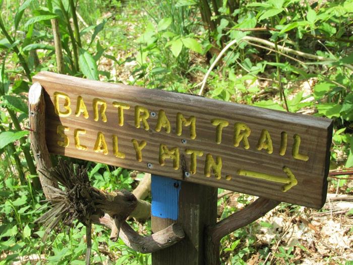 We come back down and hike out to Hickory Knut Rd.