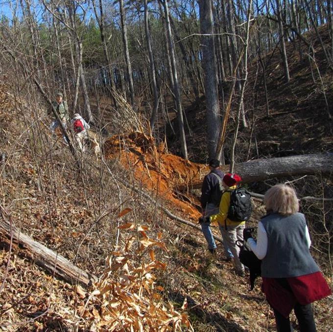 We walked up a steep slope to get around this massive blow-down.