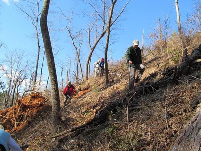 We repeatedly had to find ways over, under or around large blow-downs!