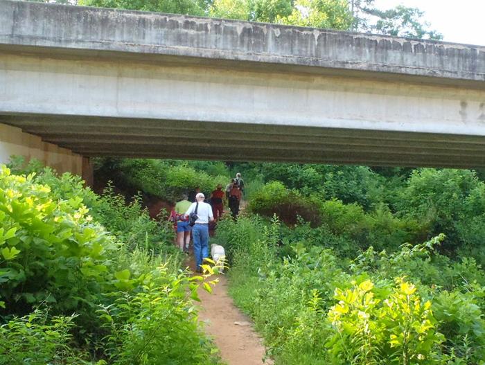 We pass under the Highway 441 bridge.
