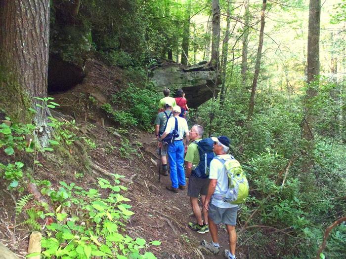 We approach the rock ledge with a large tree tree growing on the tip.