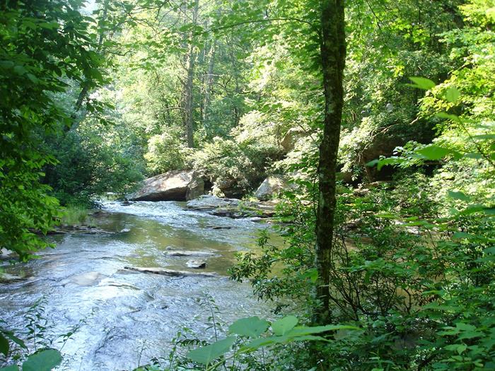 We get great views of Panther Creek all along the trail.