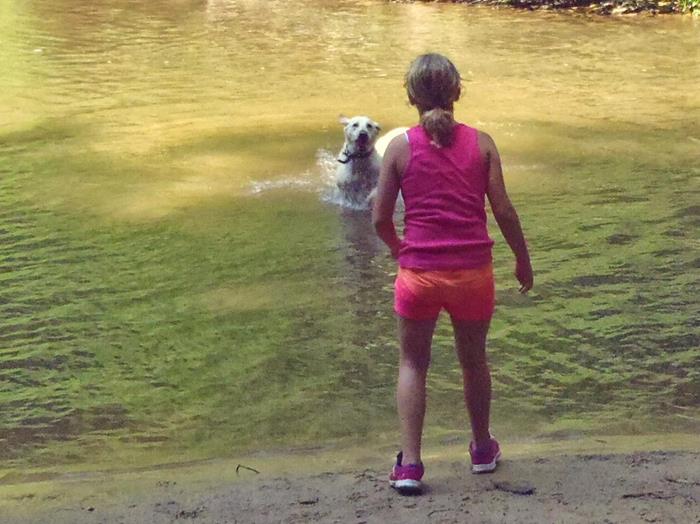 Trail dog "Angus" enjoys the water below the falls.