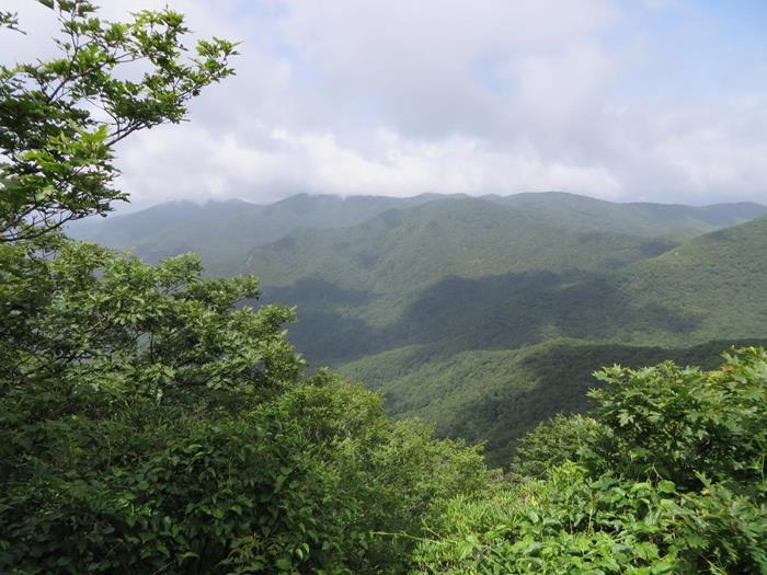Very nice mountain views!
