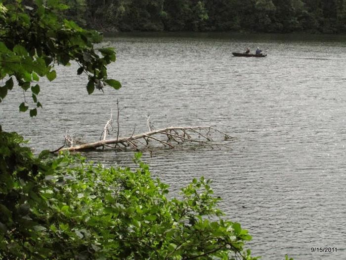 Along the shorline of Smith Lake...