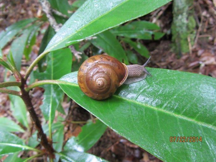 Nature along the trail!