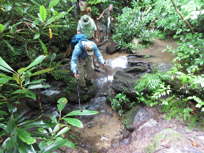 Rock hopping across a slippery stream.