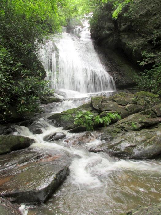Beautiful Opossum Creek Falls!