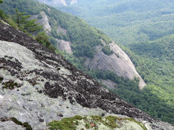 Next, we did the two mile loop trail at Whiteside Mt. for amazing views along the rim.
