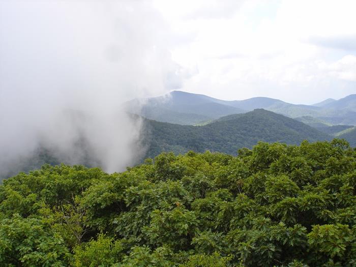 The fog was moving around.