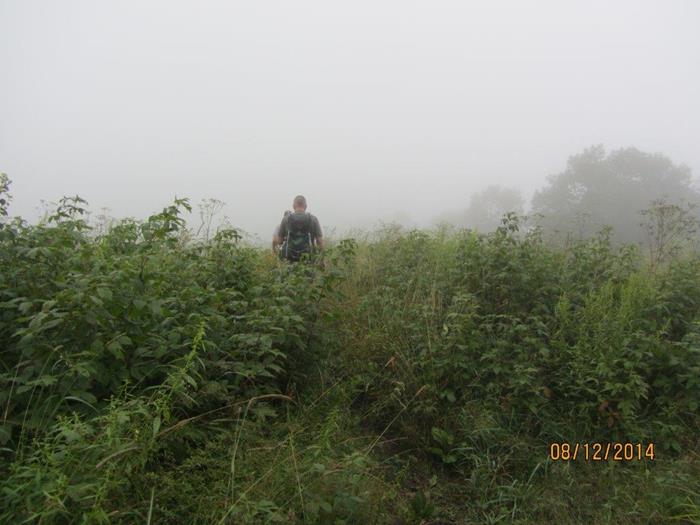 As we arrive at the grassy slope to the summit, we find the vegetation higher than we ever remember it! In the past it has been mowed at least once during the summer.